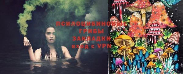 apvp Пенза