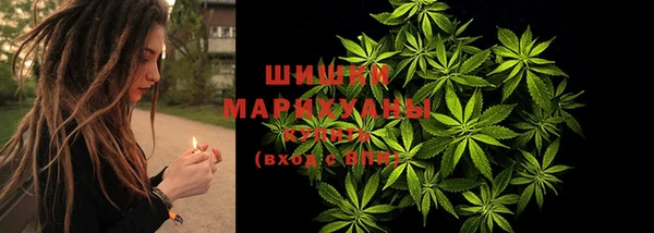 молекула духа Нефтекумск