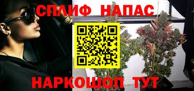 крисы Гагарин