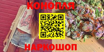 крисы Гагарин