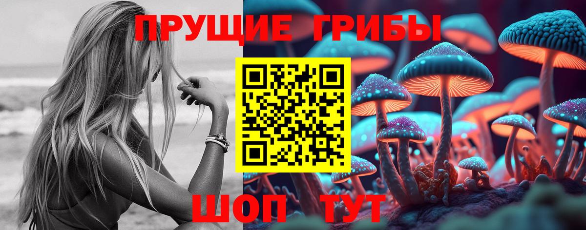 Галлюциногенные грибы Cubensis Уссурийск