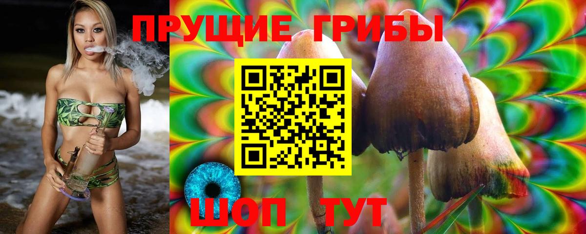 Галлюциногенные грибы мухоморы Уссурийск
