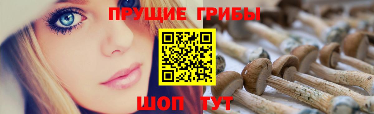 Уссурийск  Галлюциногенные грибы Psilocybe  Псилоцибиновые грибы мухоморы  Вход с VPN 
